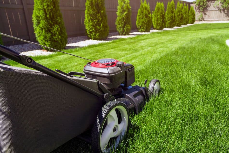 11 Cost Efficient Curb Appeal Tips From a Lawn Care Company