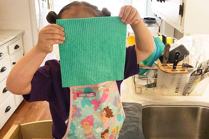 Are Swedish Dishcloths Worth It?