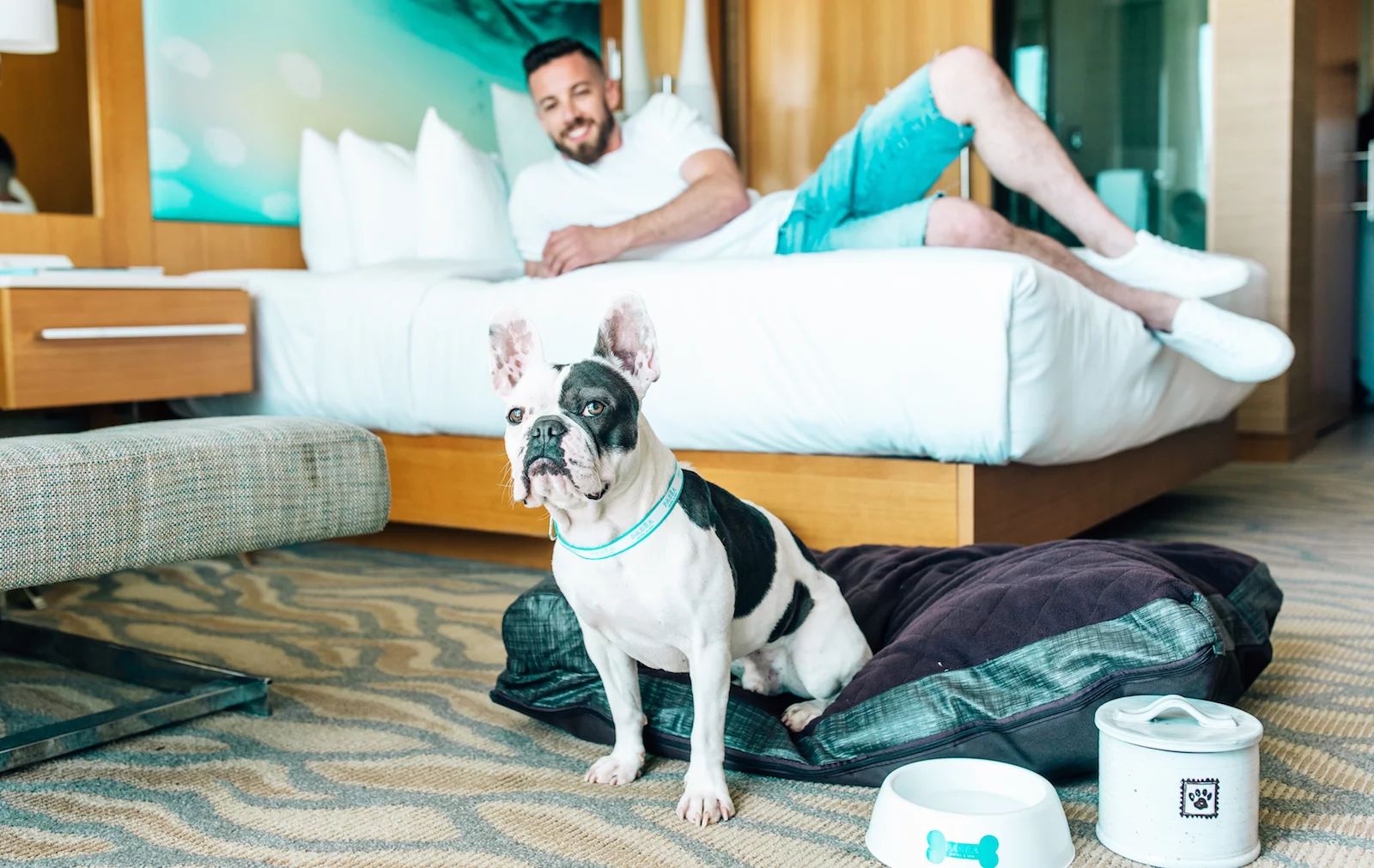 Finding And Staying At A Dog Friendly Hotel